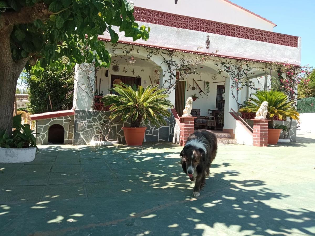 Casa Rural Cal Josefina & Tomas La Riera  Экстерьер фото